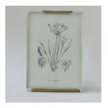 フォトフレーム セット グラス (L) ガラス クリア アンティーク調 おしゃれ 縦19