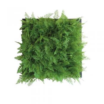 Green Wall Decor ファーン Dark Green インテリアグリーン ディスプレイ