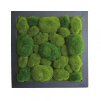Green Wall Decor モス Ball インテリアグリーン ディスプレイ 壁掛け おしゃれ