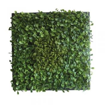 Green Wall Decor ベイビーリーフDesign インテリアグリーン ディスプレイ