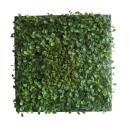 Green Wall Decor ベイビーリーフDesign インテリアグリーン ディスプレイ