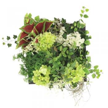 Green Wall Decor ルージュリーフ インテリアグリーン ディスプレイ 壁掛け おしゃれ