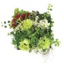 Green Wall Decor ルージュリーフ インテリアグリーン ディスプレイ 壁掛け おしゃれ