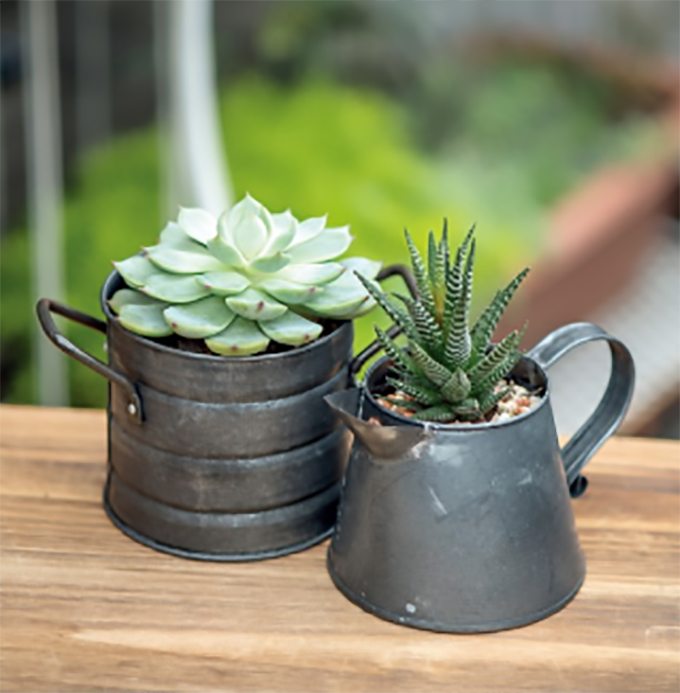 アイアンジョウロ