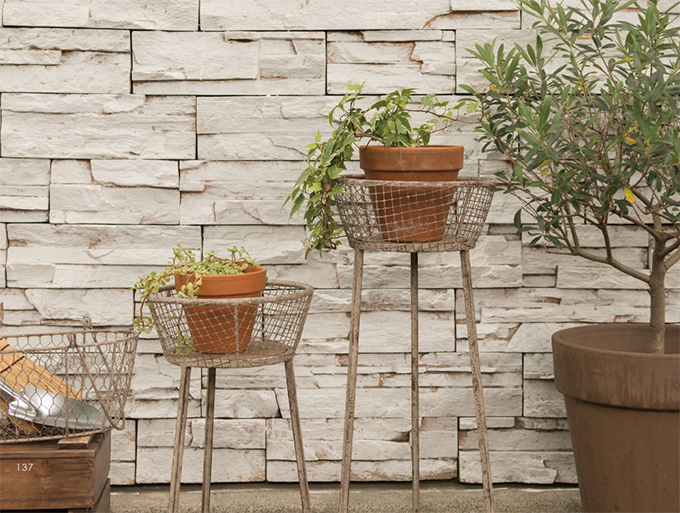 プラントハンギングバスケット