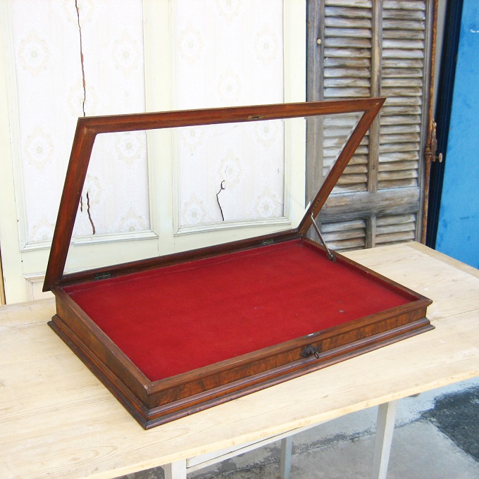 “ショーケース”