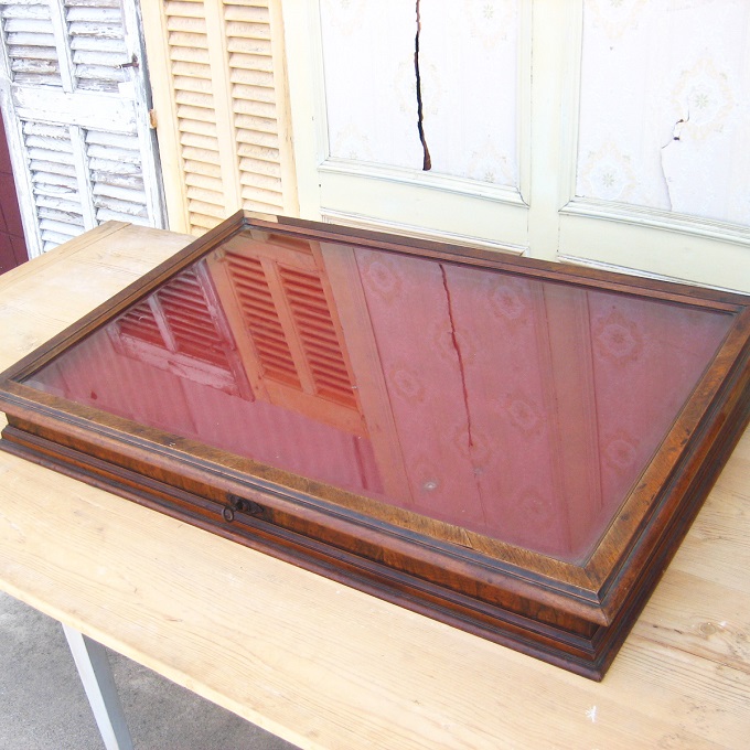 “ショーケース”