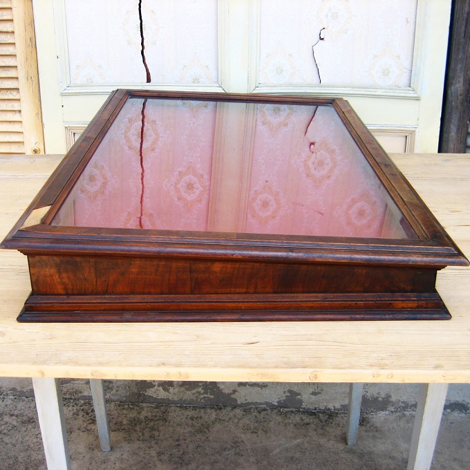 “ショーケース”