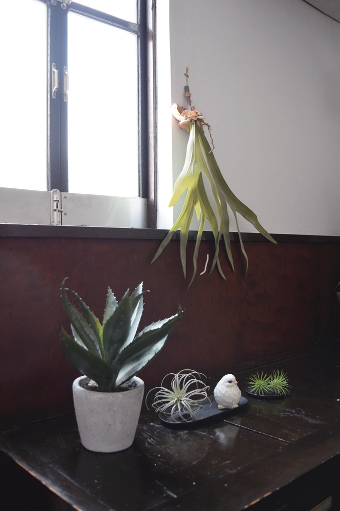 “ディスプレイ,飾り,デコレーション”