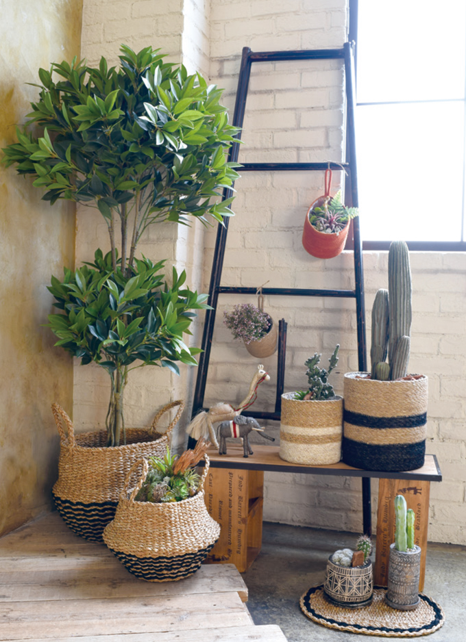 “マガジンラック”