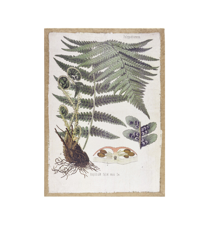 “プラントキャンバス”