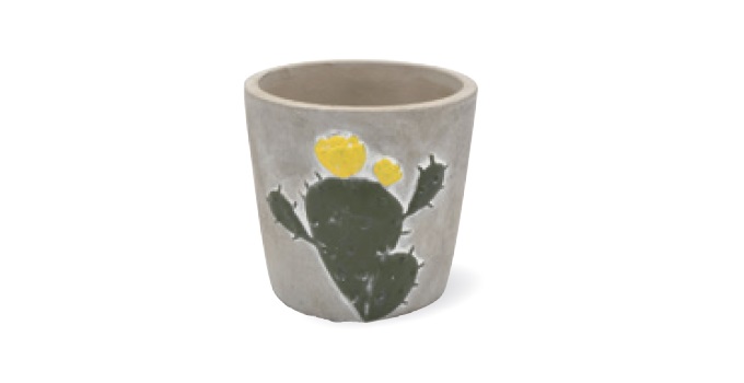 “カクタスミニマムポット”