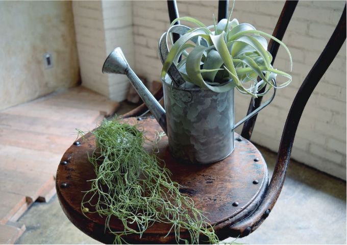 “ディスプレイ,飾り,デコレーション”