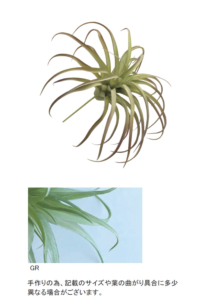 “アートプランツティランジアL-GR”