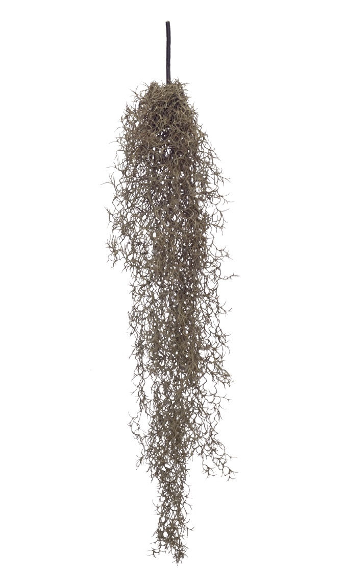 “アートプランツラージモス”