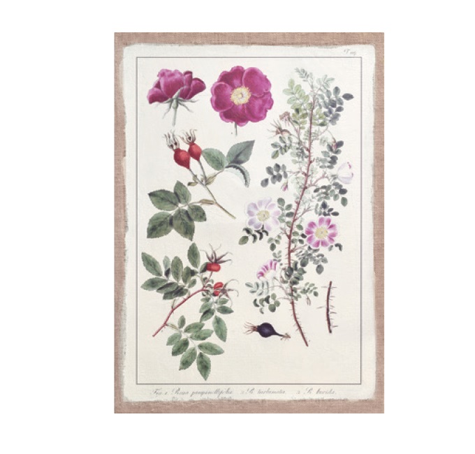 “ジュートキャンバス"<br