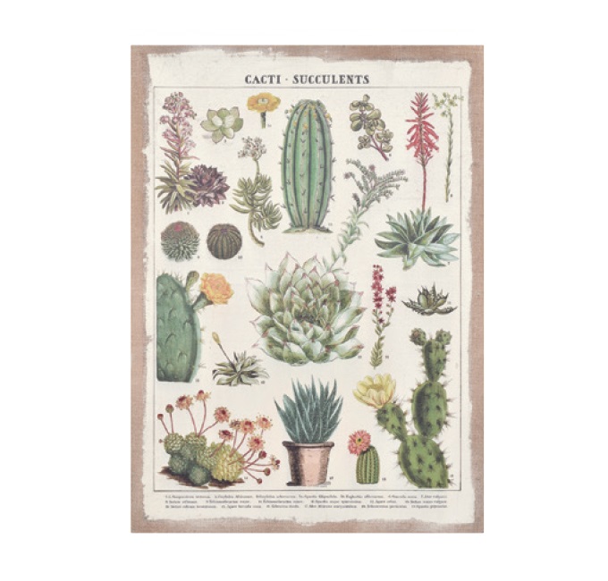 “ジュートキャンバス"<br