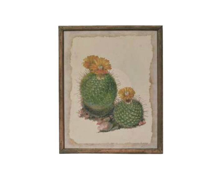 “ドロールカクタスフレーム”