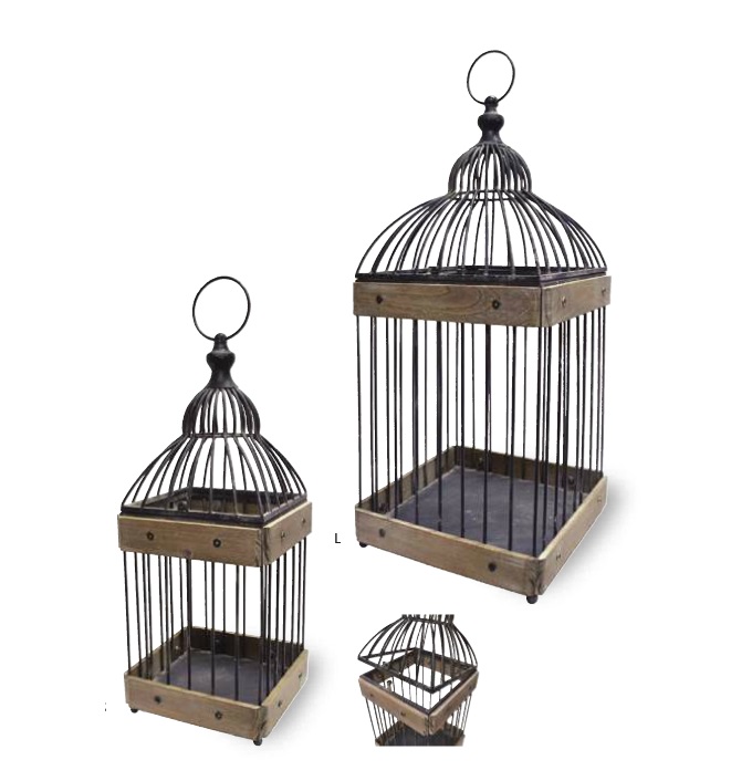 “ドロールバードケージ”