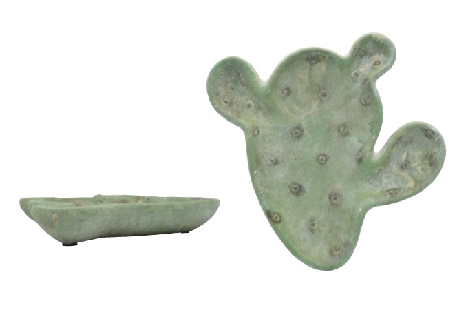 “シーモカクタストレー”