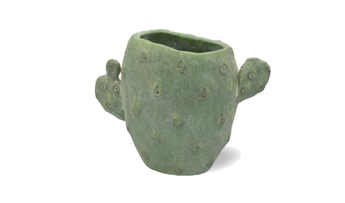 “シーモカクタスポット”