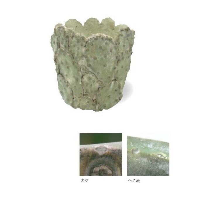 “シーモカクタスポット”