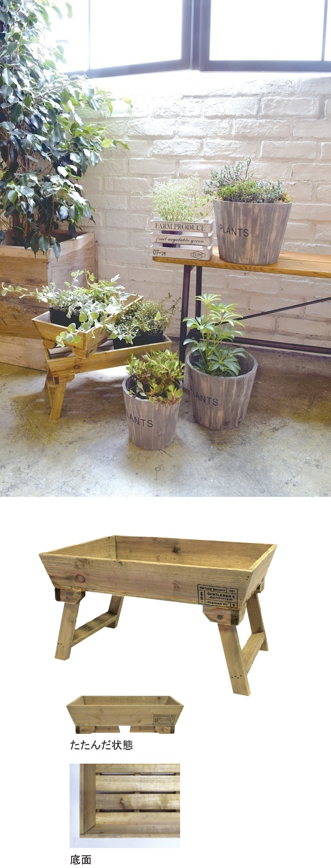 “ジェントルスタンドトレー02”