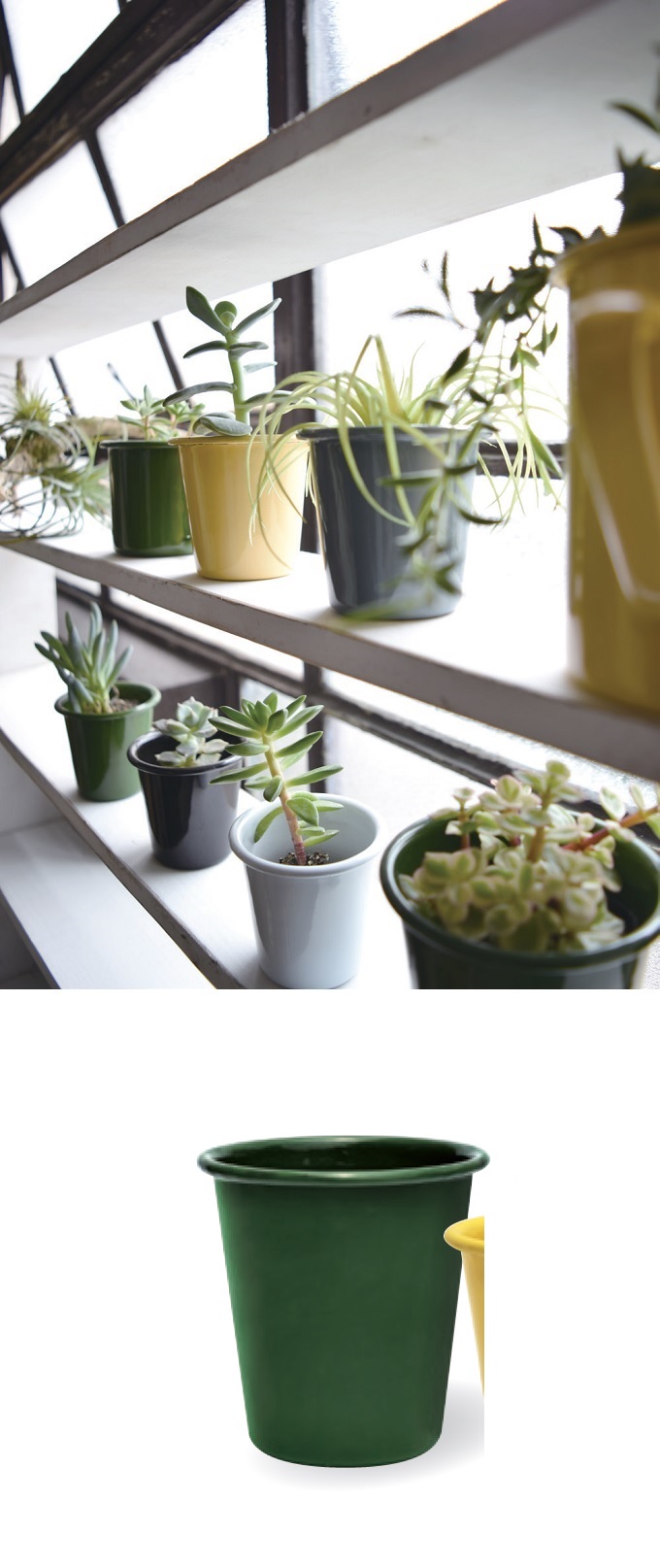 “アンプリュスタンブラー”