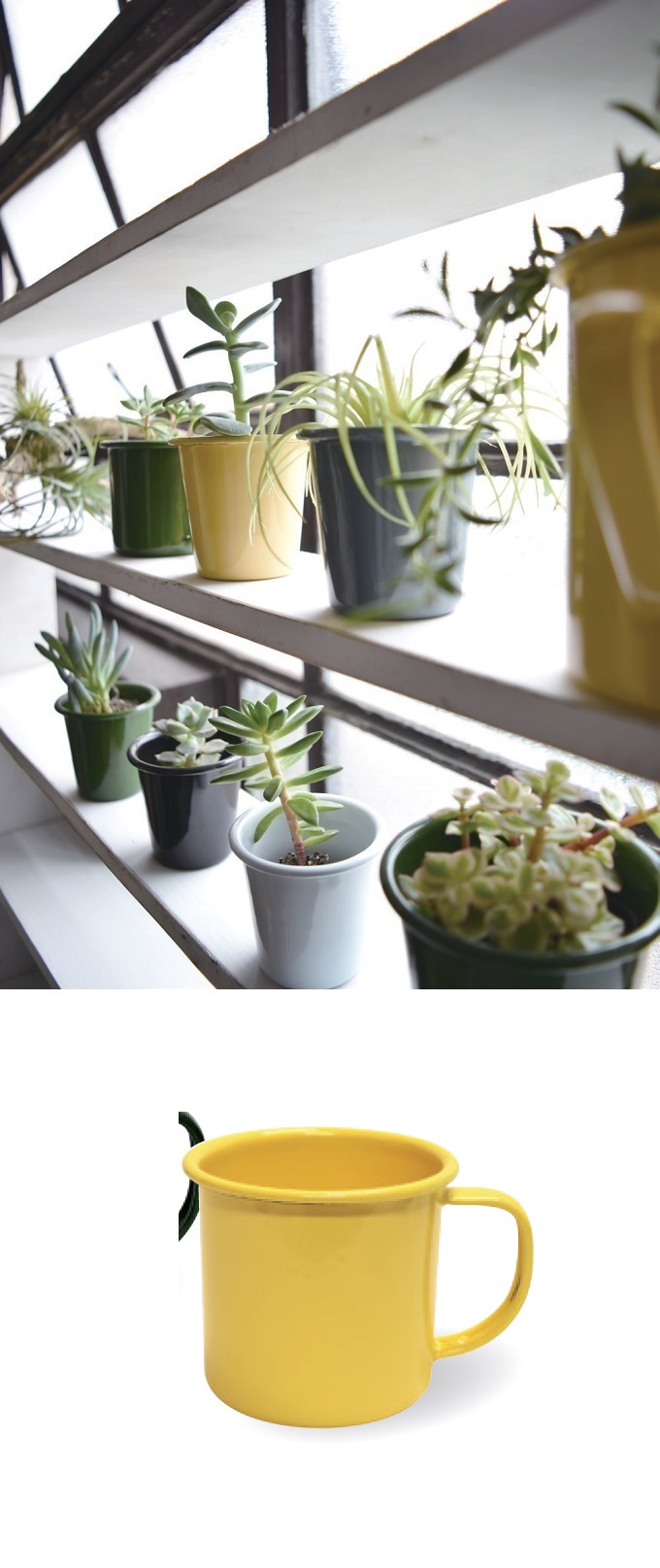 “アンプリュスマグSS”