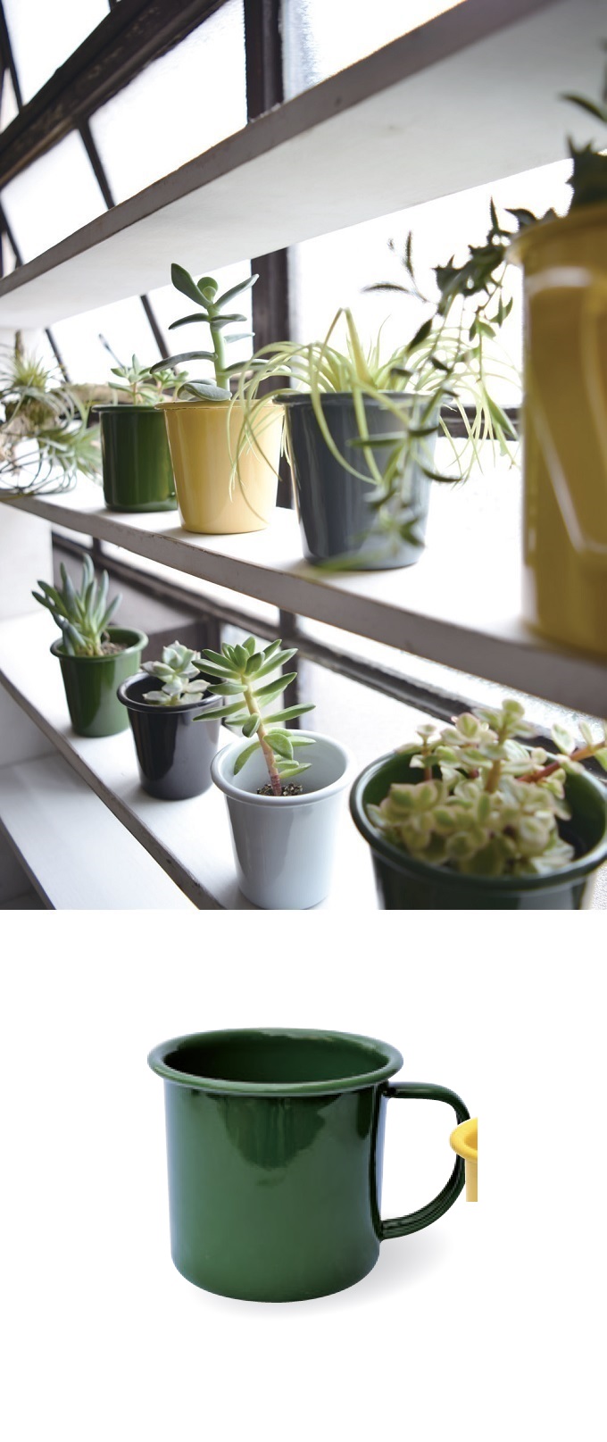 “アンプリュスマグS”