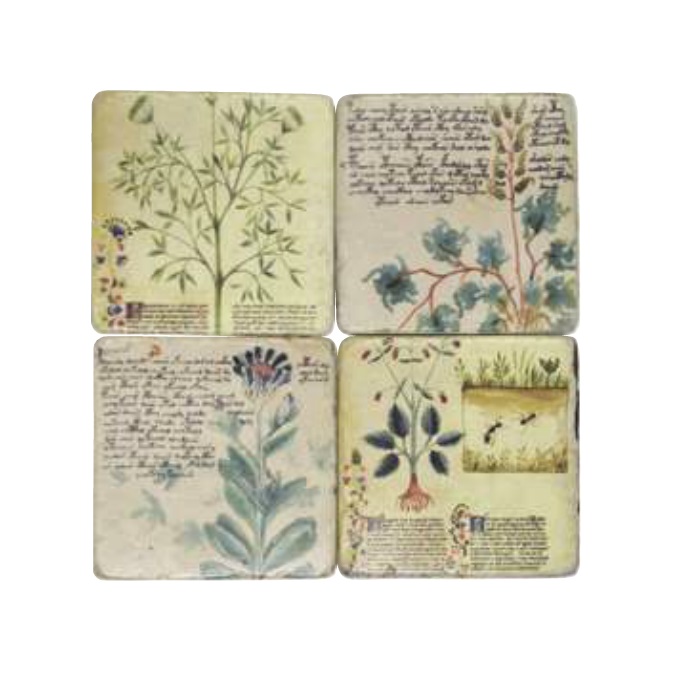 “コースター”