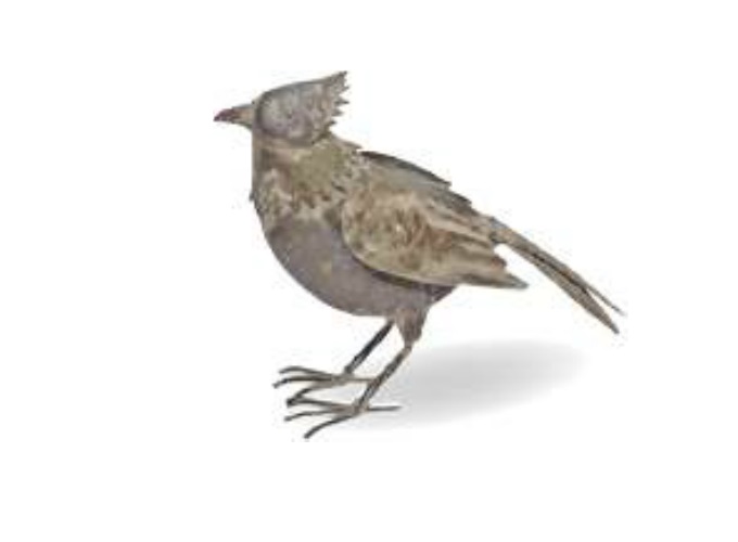 “ジャルダンオブジェバード”