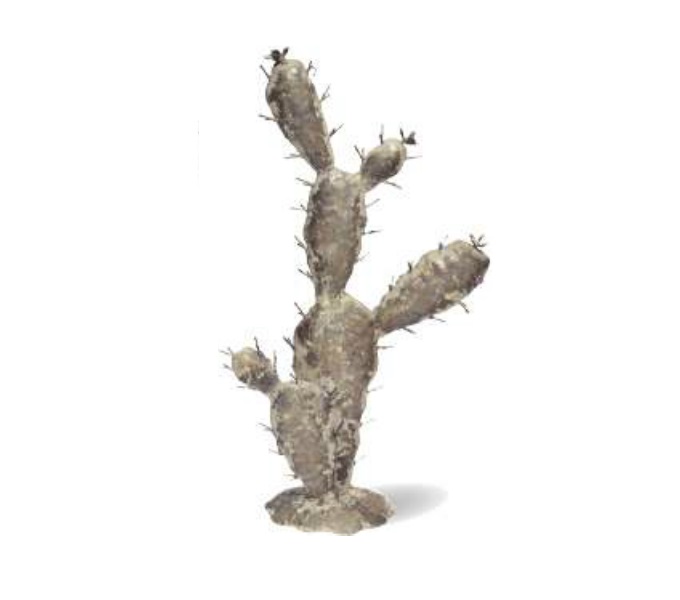 “ジャルダンオブジェカクタス”