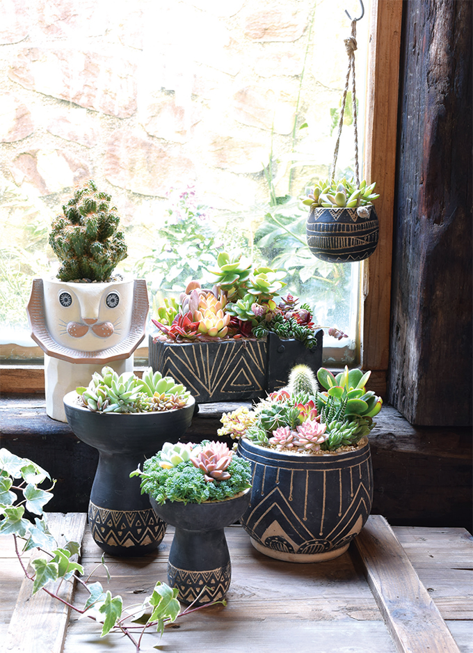 “エスニックポット”