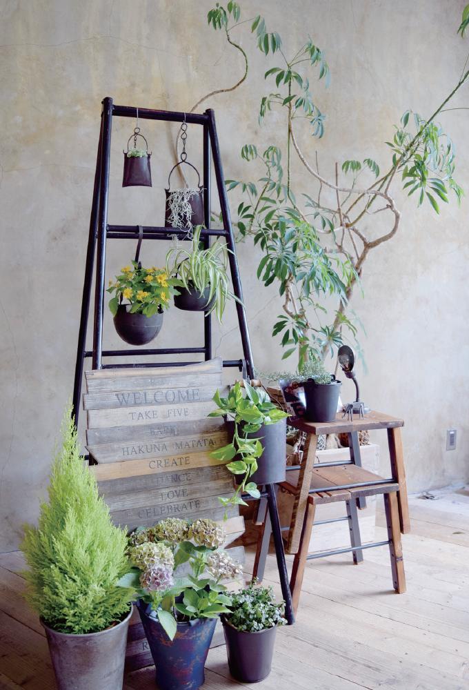 “フェールシリーズ”