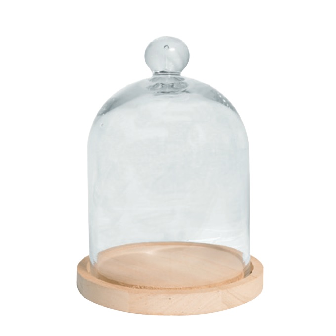 “スタンドテラリウムAS”