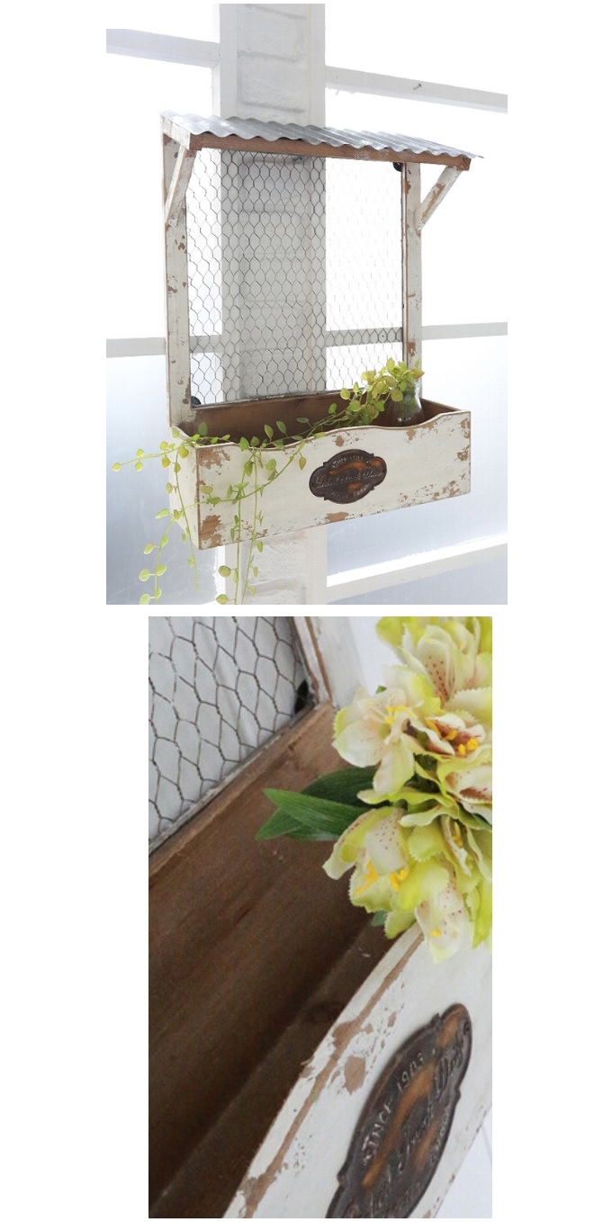 “デイリーセル・ウォールラック”