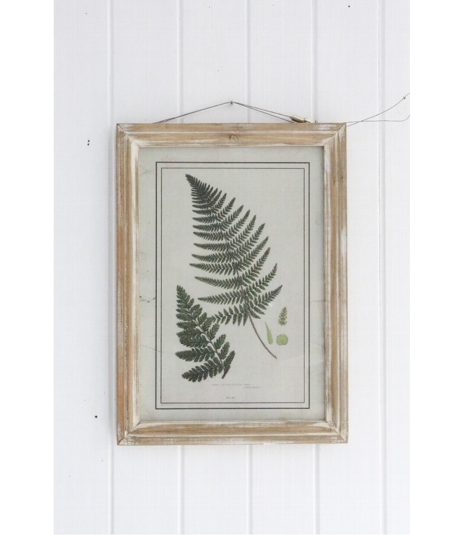 “ツインファーンフレーム”