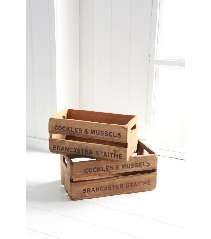 “クラミング・ウッデンバス2個セット”