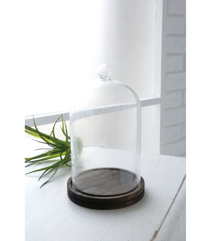 “プロジェクションドーム”