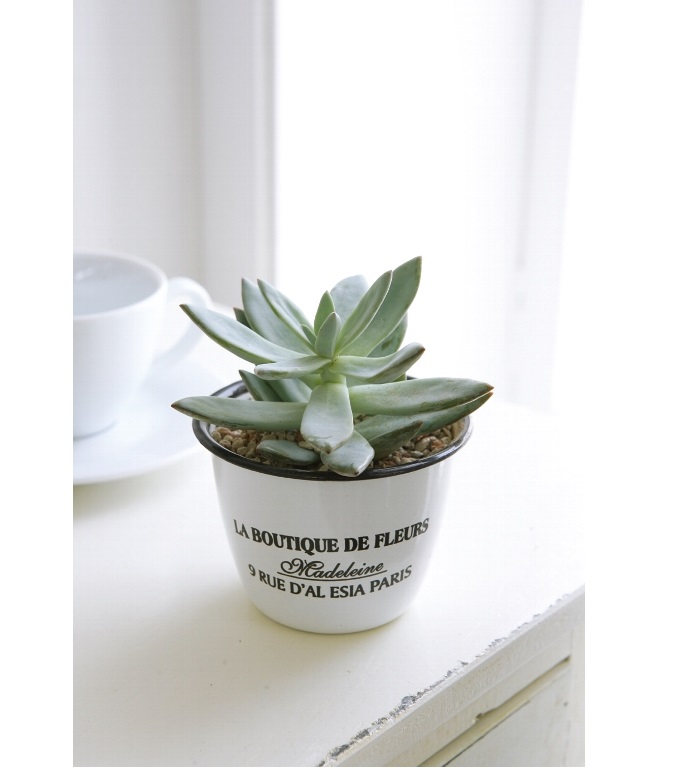 “エナメル・フルールポット