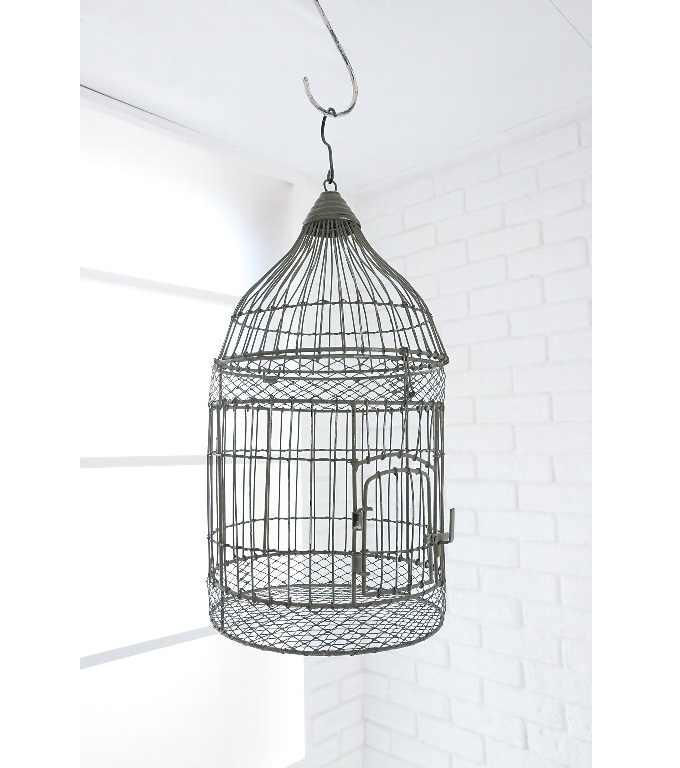 “コルテ・バードケージ”