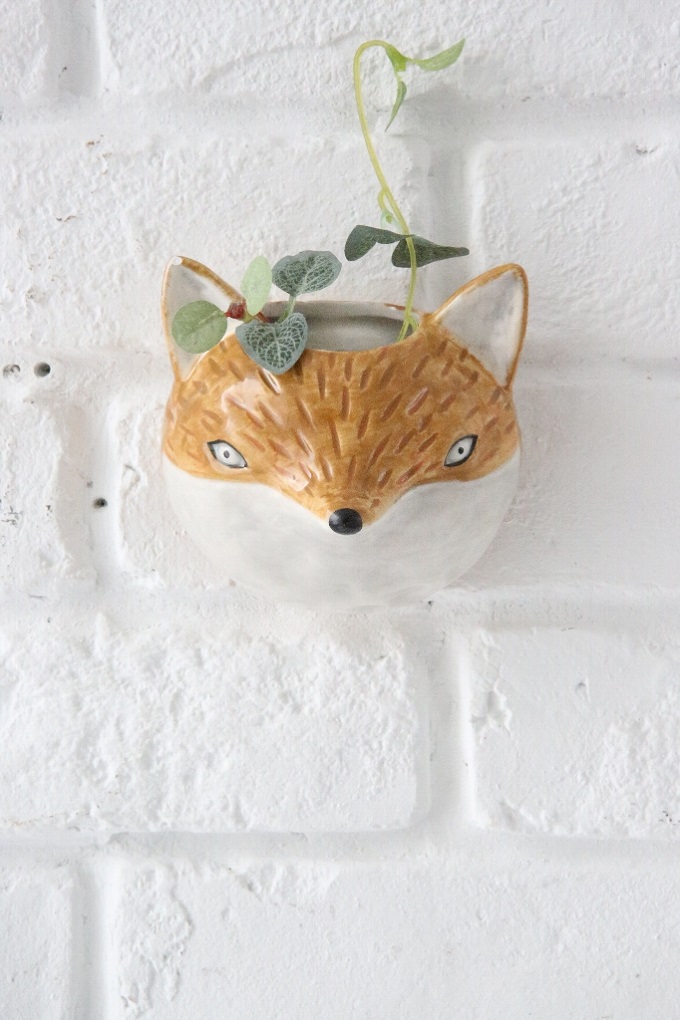 “ウォールポット・フォックス”