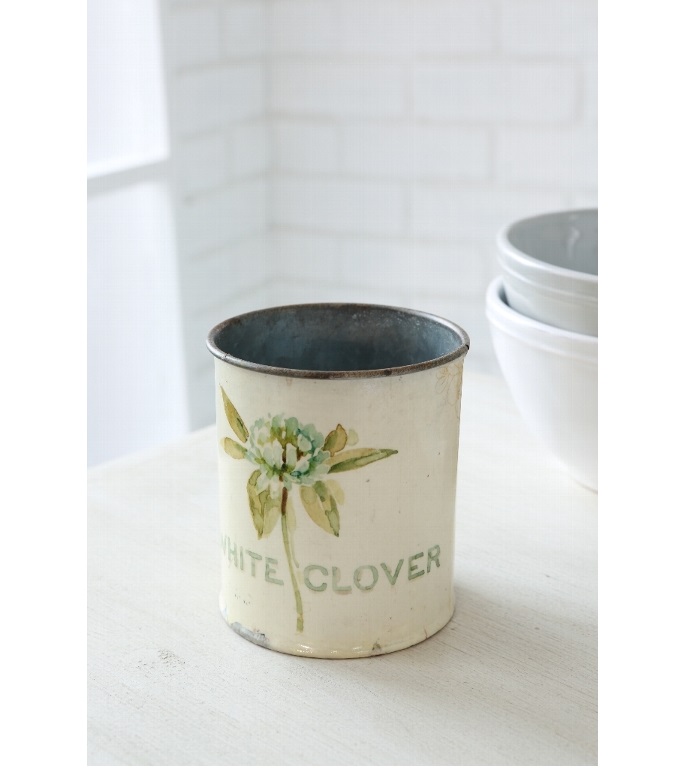 “クローバー・カンポット”