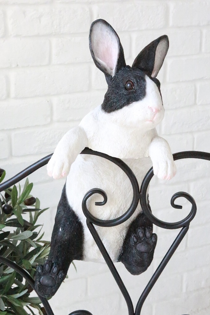 “コートラビット”