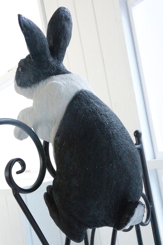 “コートラビット”