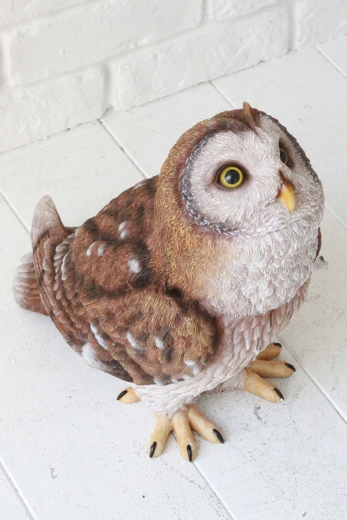 “ステアー・オウル”