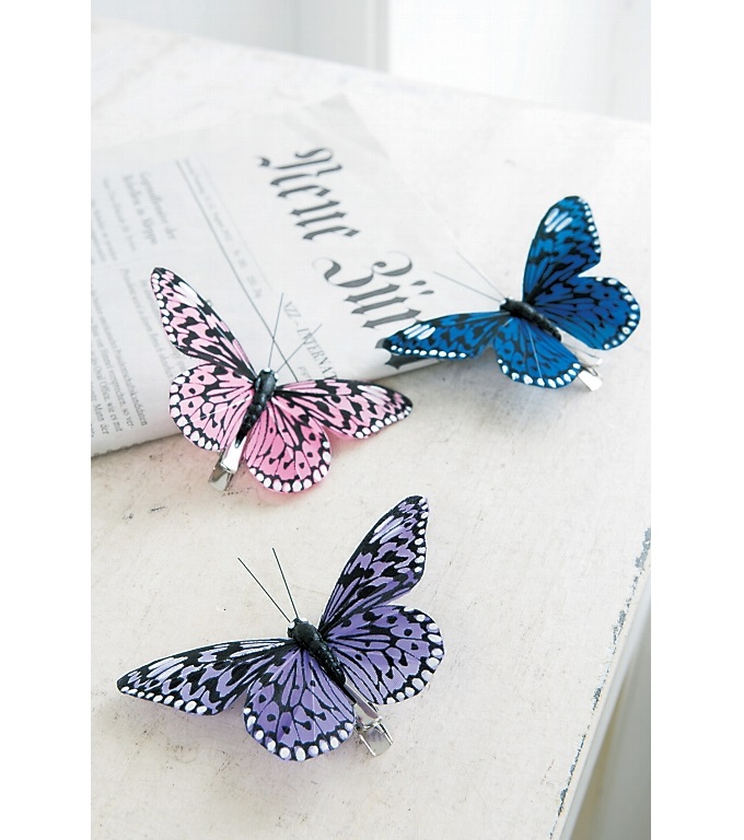 “トロピカルバタフライ・アソート”