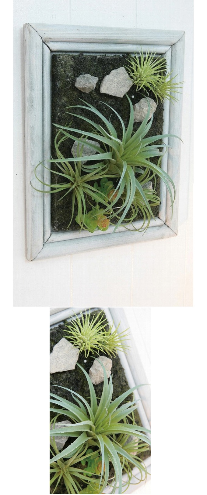 “ミニチュアサキュレントフレーム