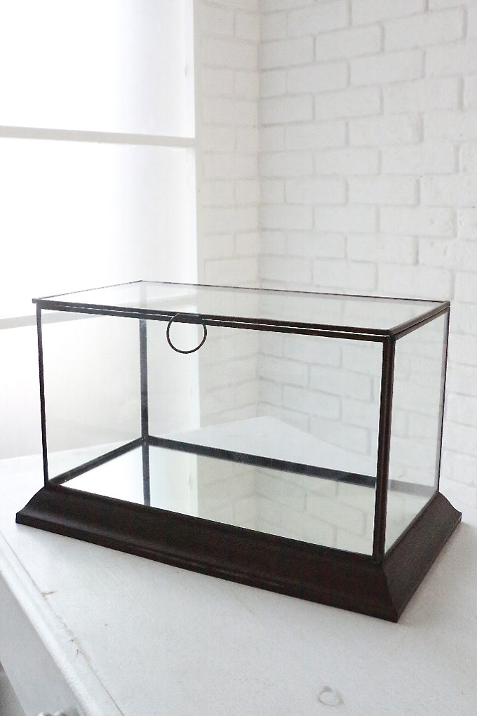 “ミラーテラリウム”